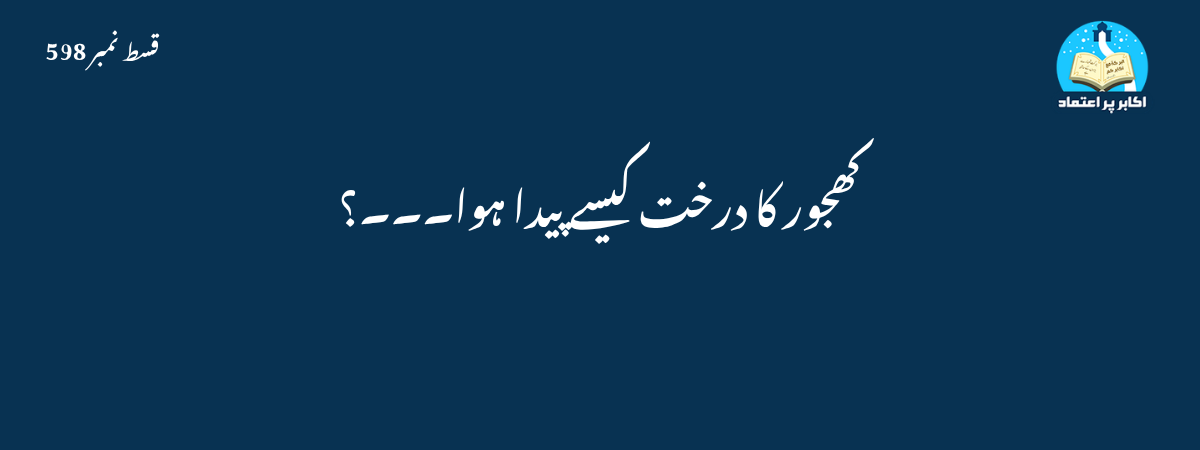 کھجور کا درخت کیسے پیدا ہوا۔۔۔؟